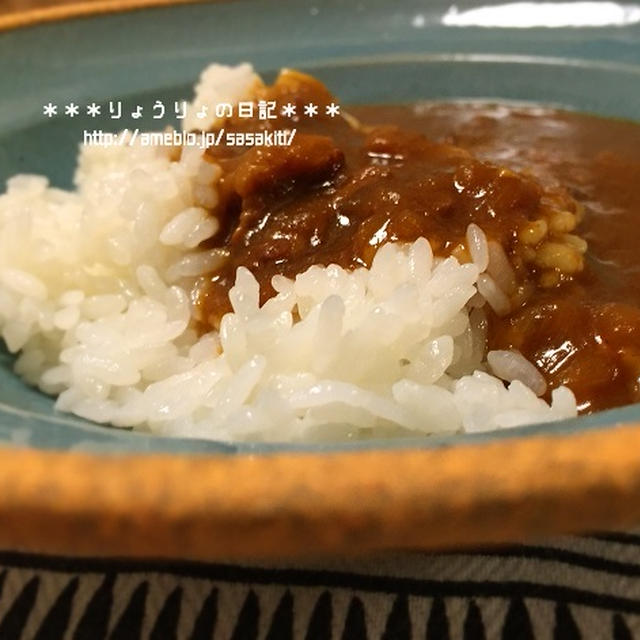 *北海道旅行②牛すじカレー*