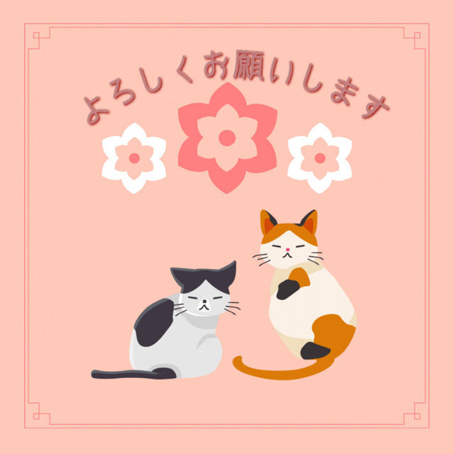 Instagramから色々なアンバサダーに！現在の活動内容とブログを始めた経緯
