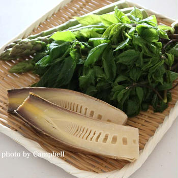 旬のうちに楽しみたい富山の蛍烏賊と春野菜