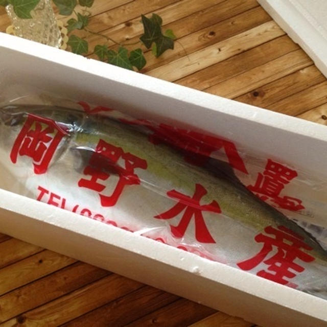 長崎県対馬のブリ＊届きました