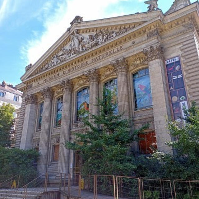 ナントでお気に入りの博物館見つけた！！ 自然史博物館 Musée d'histoire naturelle