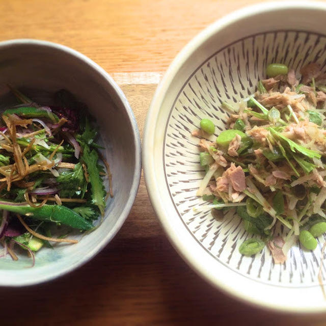 春菊の金平牛蒡和えと水菜のシャキシャキ和風サラダ