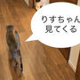 前から後ろから女の子たちにシャーされて固まるぼくちん