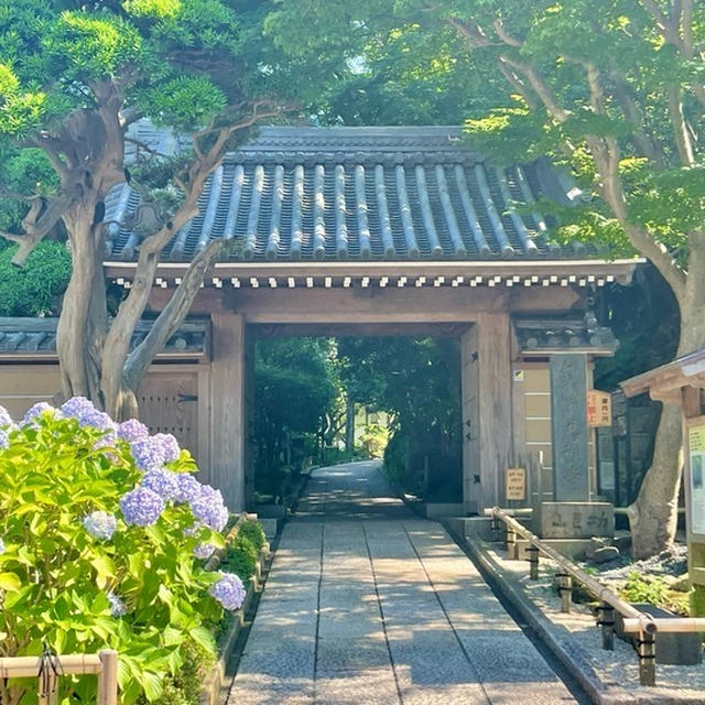 梨さんと、ぶらり奥鎌倉めぐり　②「報国寺」の美しい竹林と「okashi nikaido」さんの癒されるお菓子