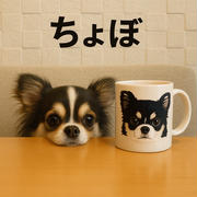 ちょぼ×２？