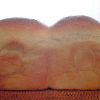 自家製酵母　はるゆたかブレンドで焼いた食パン