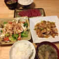 一昨日の晩御飯は鶏とねぎの炒め物など～