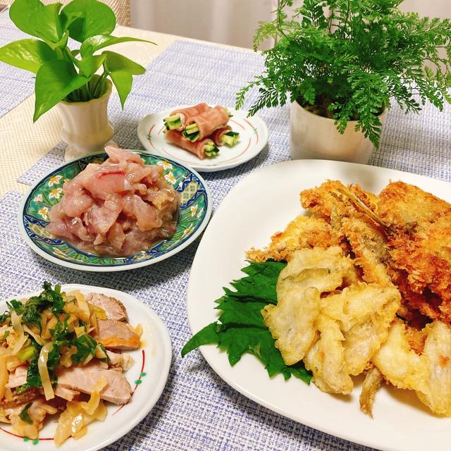 夫くんの釣果で鯵フライとなめろうの夕ご飯