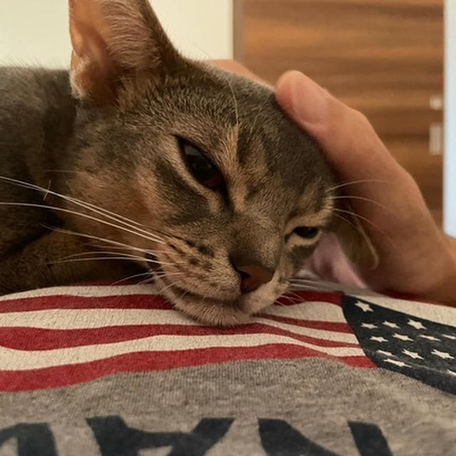 寝起きのぼくちん、お眠になっちゃうわか坊