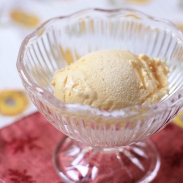 美味しい❣️ アイスクリーマーで簡単手作りアイス