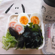 わかめもりもりぶっかけそうめん弁当〖麺弁当〗  #平日お昼ご飯はお弁当or外食