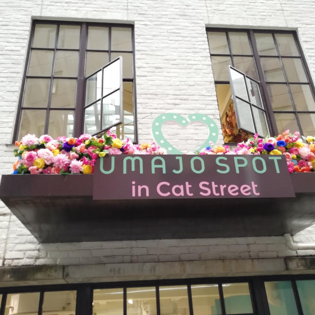 umajo sport