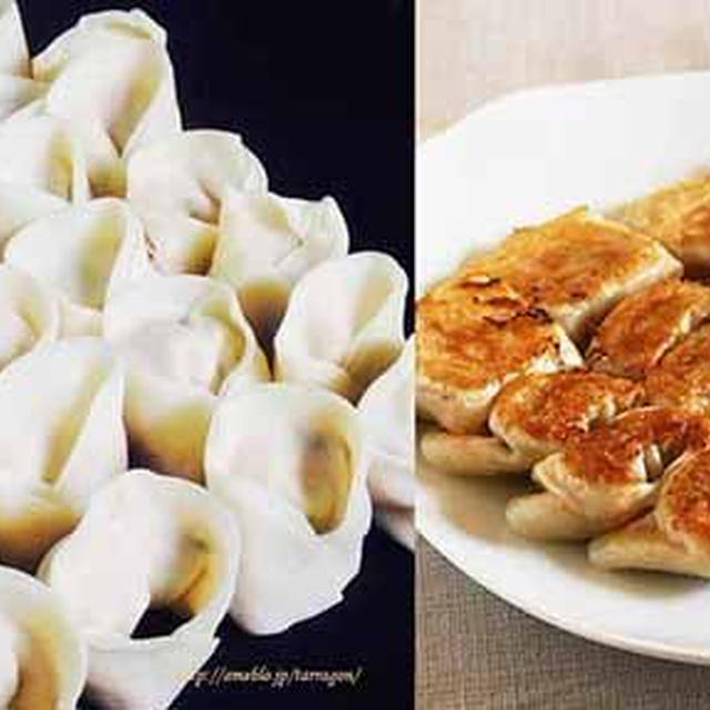 【カレーの残りリメイクなはるさめ入マンドゥ♪】