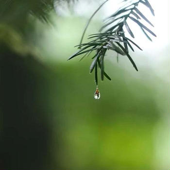 雨の数え方