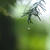 雨の数え方