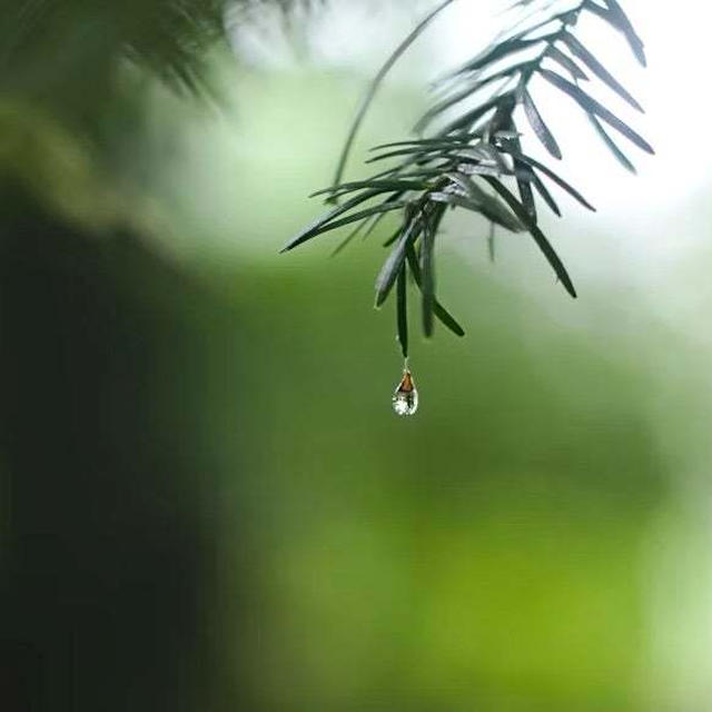 雨の数え方