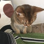 お出かけ中止しちゃう♡