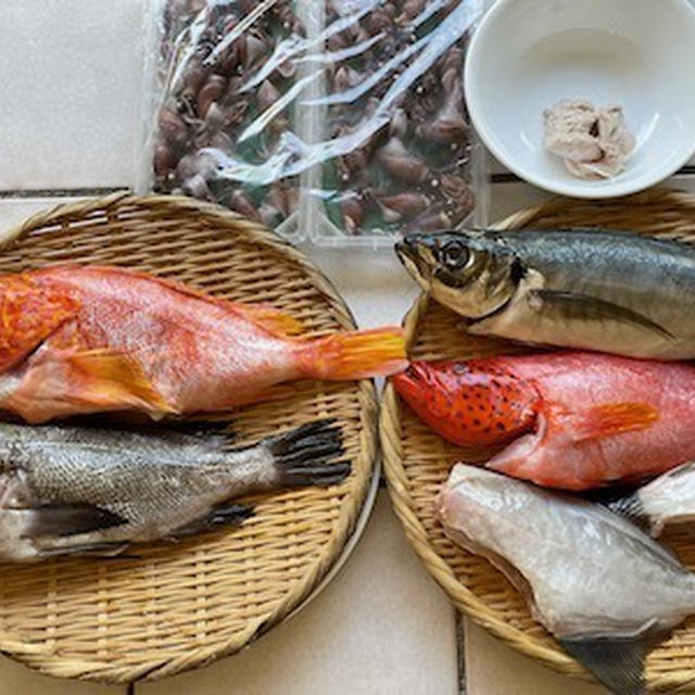 魚のお取り寄せ＿2022年4月　♪ホタルイカ、ハタ、鯵、カワハギの夕食♪