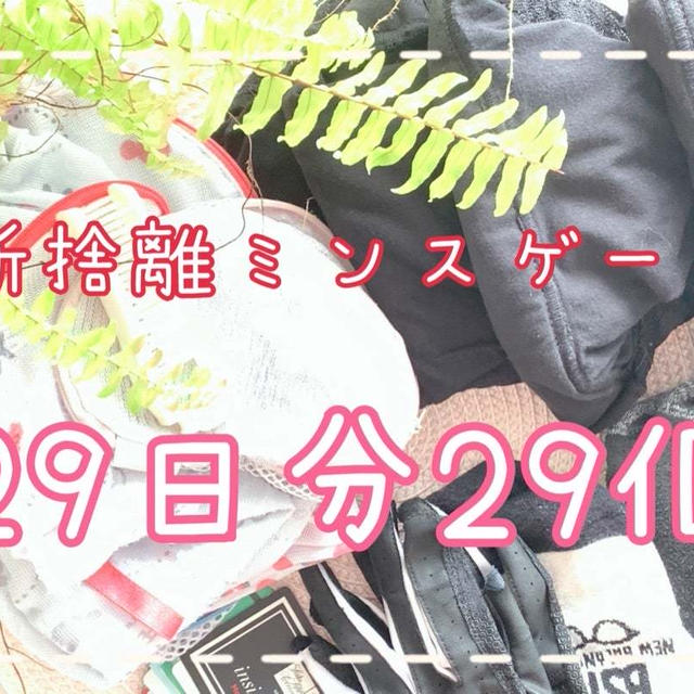 断捨離を三日坊主で終わらせないための方法：断捨離中ミンスゲーム29日分