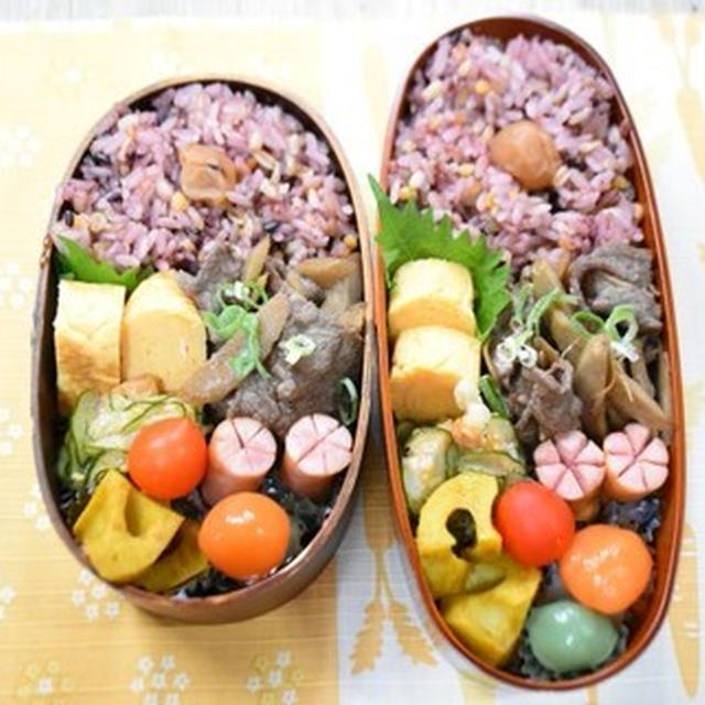 【毎日のお弁当】9/19～9/22