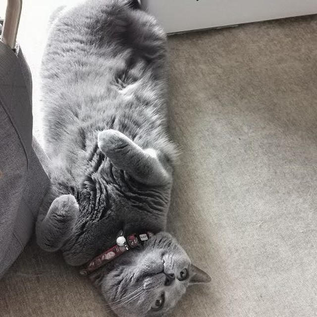 微笑み