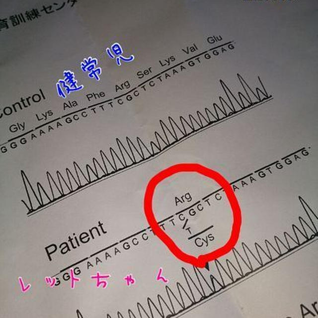 【長女】遺伝子検査結果