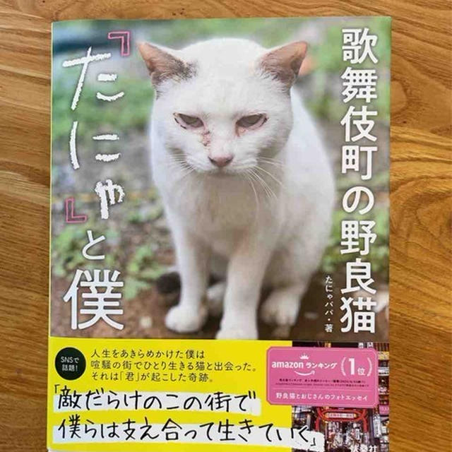 救われたのは、猫なのか、人間なのか。『「たにゃ」と僕』 by たっきーママ（奥田和美）さん | レシピブログ - 料理ブログのレシピ満載！