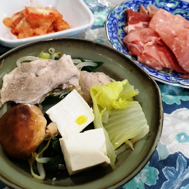今日も老犬と思い出散歩 ～ 気分も少しは落ち着いてきました