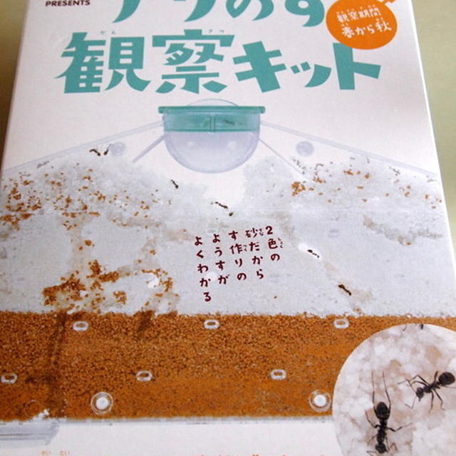 子供より老人向け