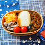 焼き塩さばのお弁当。