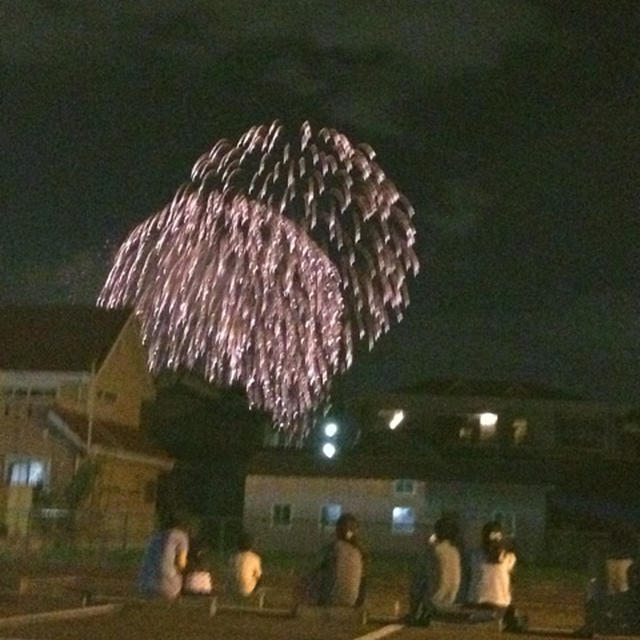 ＰＬ花火大会はヤッパリ綺麗！
