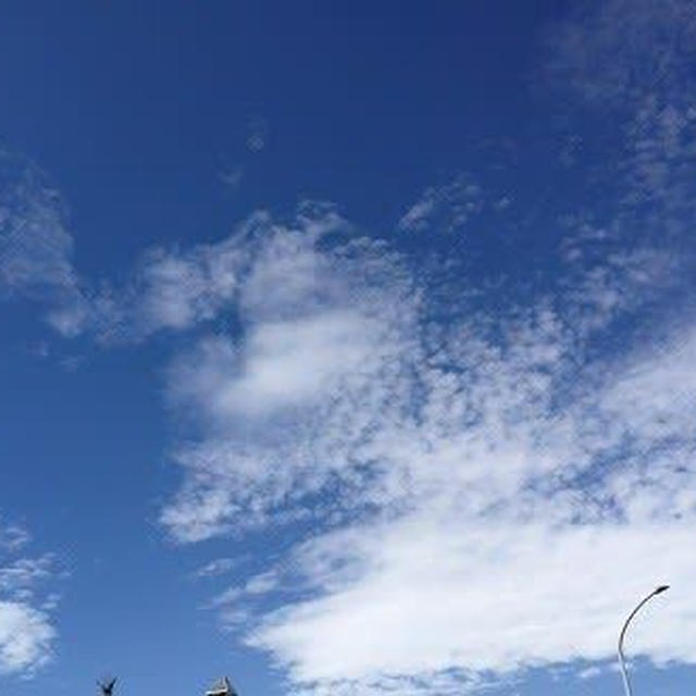 台風一過でフェーン現象