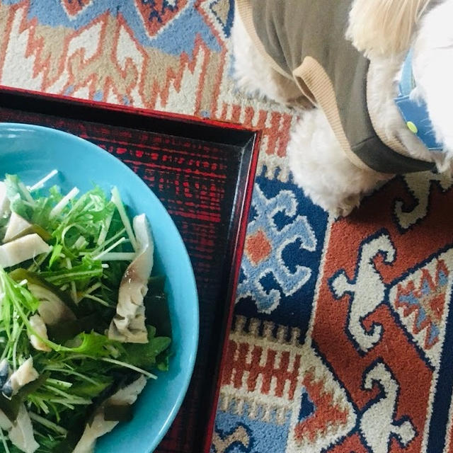 しめ鯖のサラダ