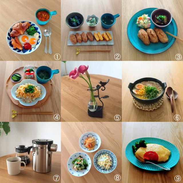 猫の道草 うつわ帖101