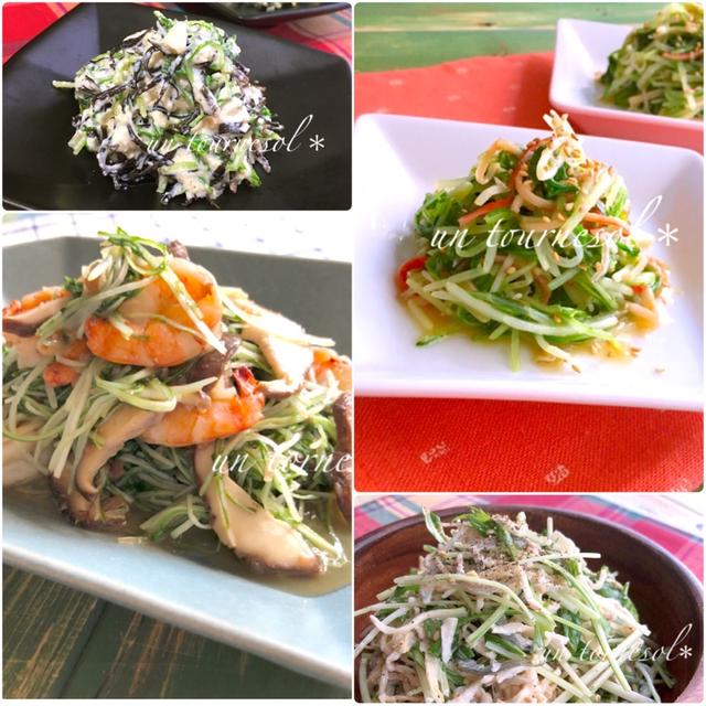 【旬の味「水菜」】風邪予防や免疫力アップに☆過去レシピまとめ4選