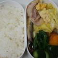 キャベツと卵と豚肉の中華風炒め、ししゃも、ほうれん草とベーコン炒めのお弁当