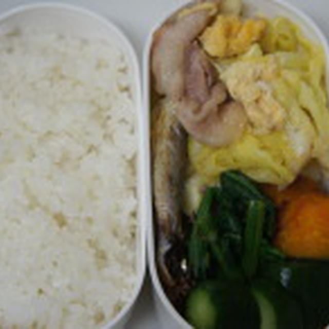 キャベツと卵と豚肉の中華風炒め、ししゃも、ほうれん草とベーコン炒めのお弁当
