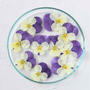 ドライ食用花ビオラ白紫10枚