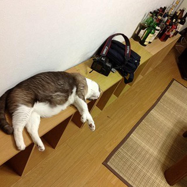 ちょっとリラックス？