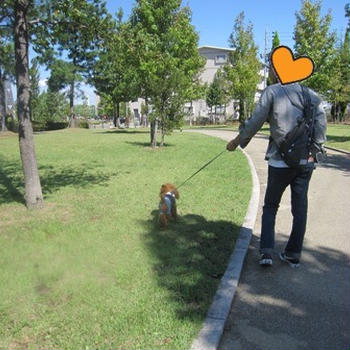 mocoと公園へ♪