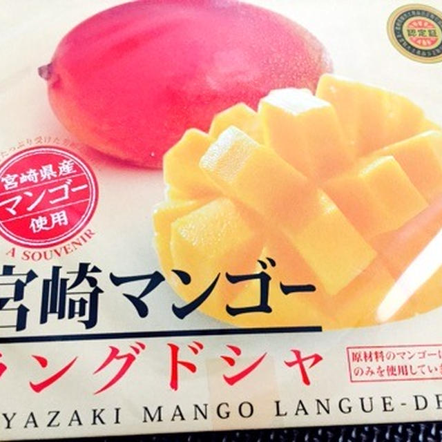 お土産 宮崎マンゴー