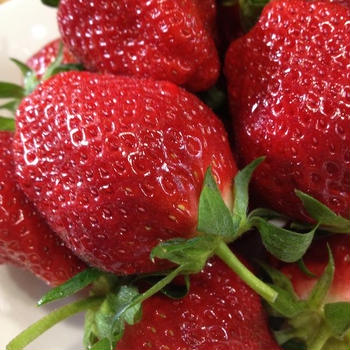 端午の節句の意味と薬膳的視点