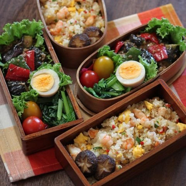 夏だけどｲﾝﾌﾙが流行 (╯•ω•╰) ✿ bento＆晩ご飯♪