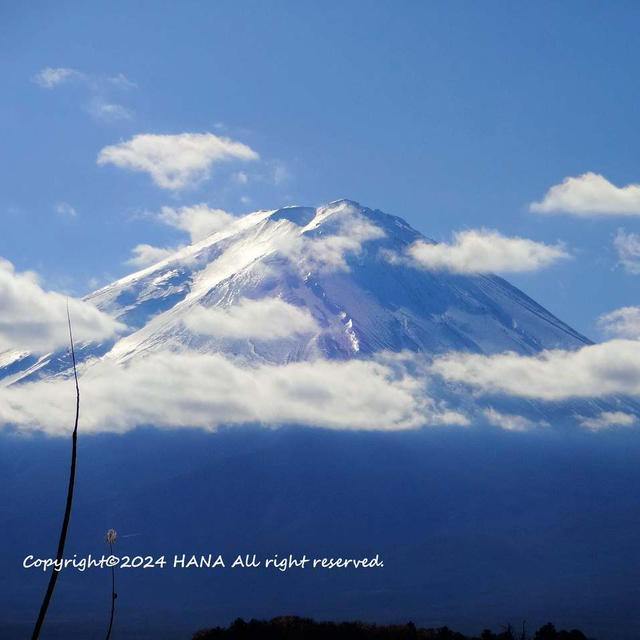 富士山が見たくなって河口湖へ