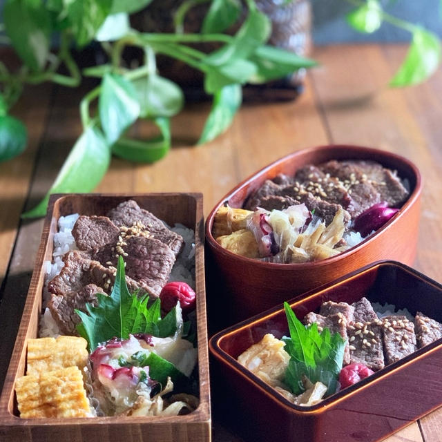 焼肉弁当に薬味塩麹和えでさっぱり！