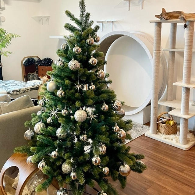 クリスマスツリーらしくなった♪ ＆楽天のクリスマスグッズなど