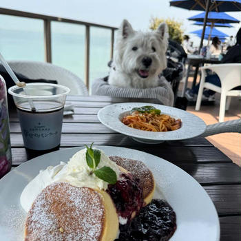 幸せのパンケーキ