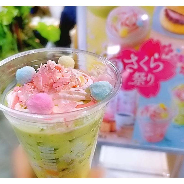 桜グリーンティーオレ～わらび餅～「ドトールさくら祭り」開催中♪