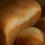 ホシノ丹沢酵母で山食・プチパン