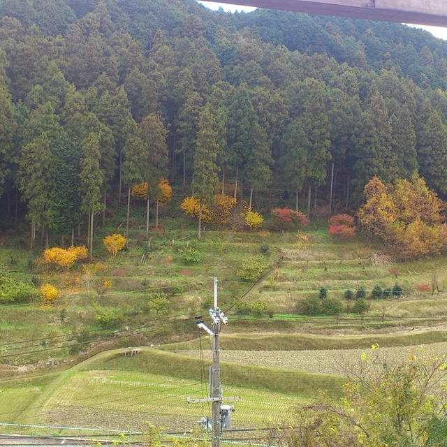 11月16日（土）本日臨時休業しております。